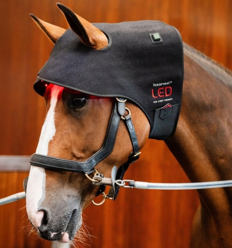 Pad terapeutyczny na potylicę HORSEWARE LED Red Light Therapy
