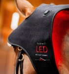 Pad terapeutyczny na potylicę HORSEWARE LED Red Light Therapy