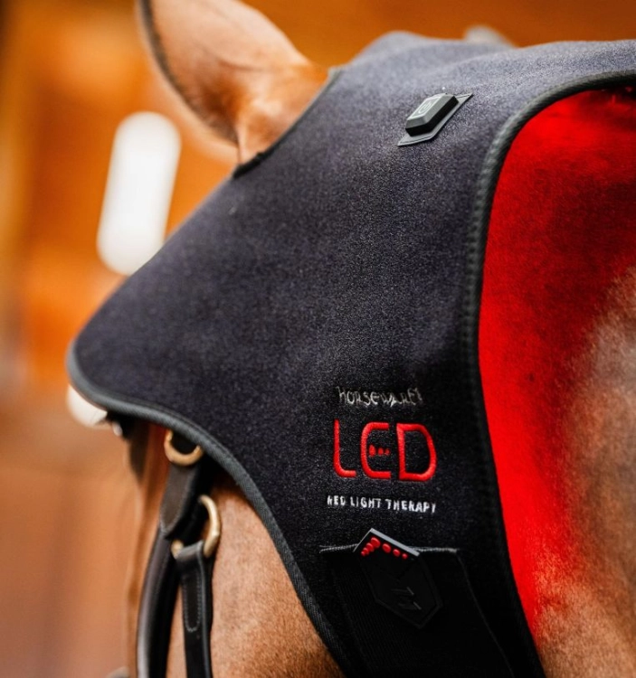 Pad terapeutyczny na potylicę HORSEWARE LED Red Light Therapy