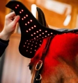 Pad terapeutyczny na potylicę HORSEWARE LED Red Light Therapy