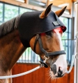 Pad terapeutyczny na potylicę HORSEWARE LED Red Light Therapy