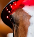 Pad terapeutyczny na potylicę HORSEWARE LED Red Light Therapy