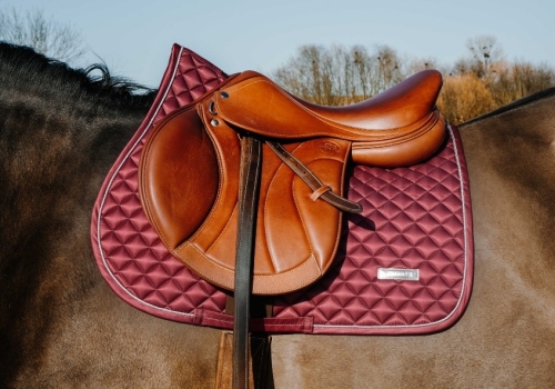 Czaprak-wszechstronny-Equi-Theme-Nacre