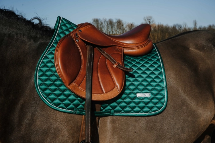 Czaprak-wszechstronny-Equi-Theme-Nacre