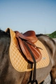 Czaprak-wszechstronny-Equi-Theme-Nacre-4