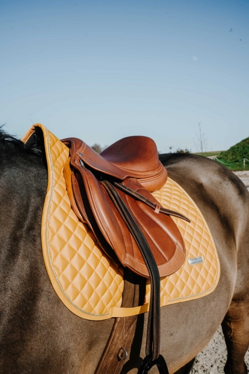 Czaprak-wszechstronny-Equi-Theme-Nacre-4