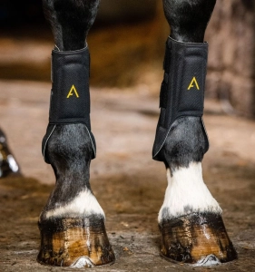 Ochraniacze crossowe HORSEWARE "Adagio"