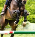 Ochraniacze-crossowe-HORSEWARE-Adagio-6