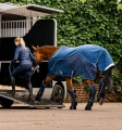 Ochraniacze transportowe HORSEWARE-Signature-Travel-Boots-5