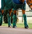 ddhtm0-h000-horseware-signature-travel-boot-walking.jpg
