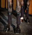 Owijki-polarowe-HORSEWARE-AMIGO-black-5