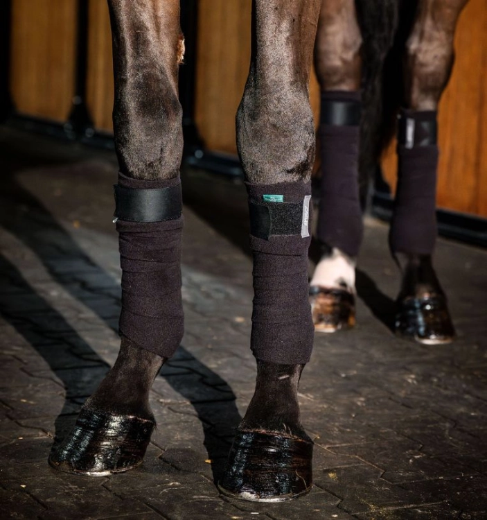 Owijki-polarowe-HORSEWARE-AMIGO-black-5