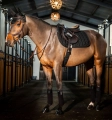 Owijki-polarowe-HORSEWARE-AMIGO-black-6