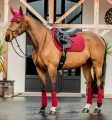 Owijki-polarowe-HORSEWARE-AMIGO-mulberry-6