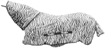 derka-covalliero-rugbe-zebra-1.jpg