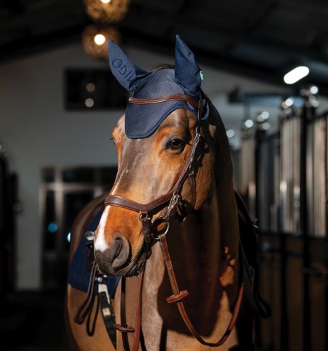 Nauszniki-HORSEWARE-AMIGO-navy-1.jpg