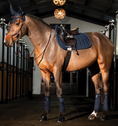 Nauszniki-HORSEWARE-AMIGO-navy-2.jpg