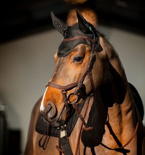 Nauszniki-HORSEWARE-AMIGO-black-1