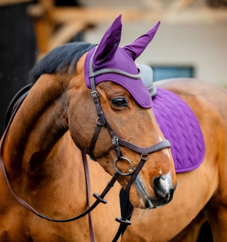 Nauszniki-HORSEWARE-AMIGO-winterberry-1
