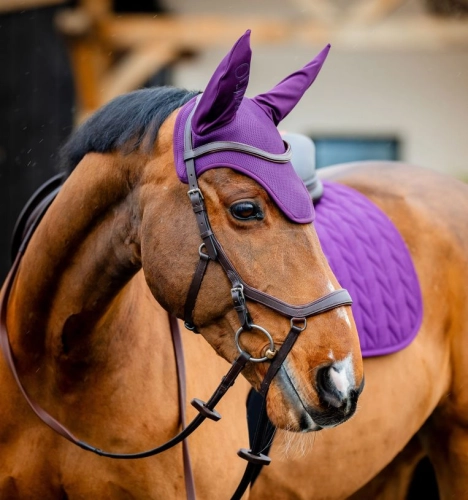 Nauszniki-HORSEWARE-AMIGO-winterberry-1