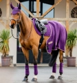 Nauszniki-HORSEWARE-AMIGO-winterberry-3