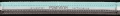Kantar-Eskadron-CORE-Pin-Buckle-ice-white-stone-2