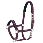 Kantar-Eskadron-CORE-Pin-Buckle-blackberry-1