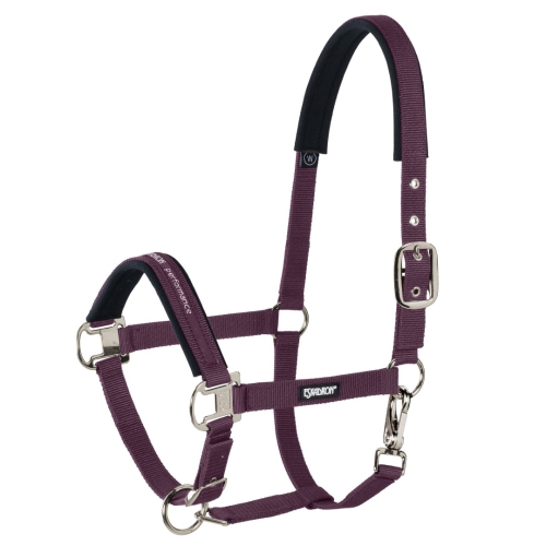 Kantar-Eskadron-CORE-Pin-Buckle-blackberry-1