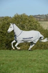 Derka egzemowa Bucas "Sweet Itch"24h