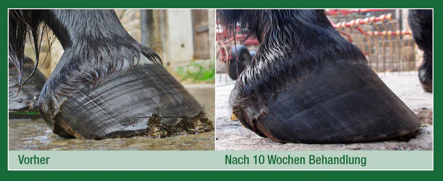 Utwardzacz-do-kopyt-KERALIT-Hoof Strengthener-4
