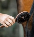 Szczotka-do-grzywy-i-ogona-HORSEWARE-Mane-and-Tail-3