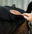 Szczotka-do-grzywy-i-ogona-HORSEWARE-Mane-and-Tail-5