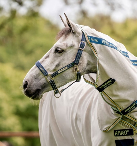 Kantar-HORSEWARE-Fieldsafe-navy-1