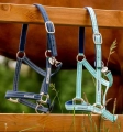 Kantar-HORSEWARE-Fieldsafe-navy-3