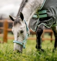 Kantar-HORSEWARE-Fieldsafe-blue-haze-1
