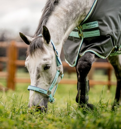 Kantar-HORSEWARE-Fieldsafe-blue-haze-1