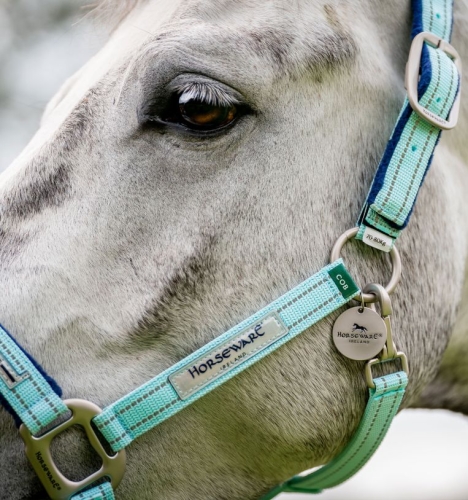 Kantar-HORSEWARE-Fieldsafe-blue-haze-2