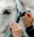 Kantar-HORSEWARE-Fieldsafe-blue-haze-3