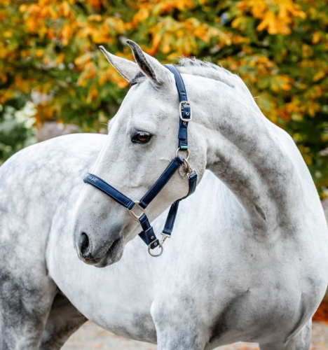Kantar-HORSEWARE-Grooming-navy-1