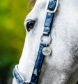 Kantar-HORSEWARE-Grooming-navy-2