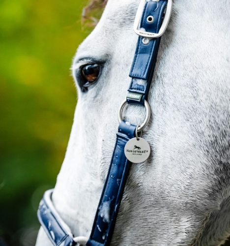 Kantar-HORSEWARE-Grooming-navy-2