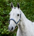 Kantar-HORSEWARE-Grooming-navy-4