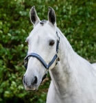 Kantar-HORSEWARE-Grooming-navy-4