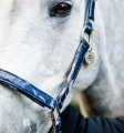 Kantar-HORSEWARE-Grooming-navy-6