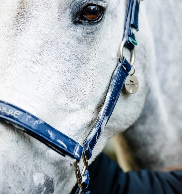 Kantar-HORSEWARE-Grooming-navy-6