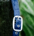 Kantar-HORSEWARE-Grooming-navy-7