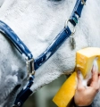 Kantar-HORSEWARE-Grooming-navy-9