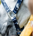 Kantar-HORSEWARE-Grooming