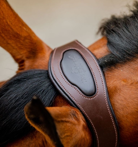 Kantar-skorzany-HORSEWARE-Signature-navy-2
