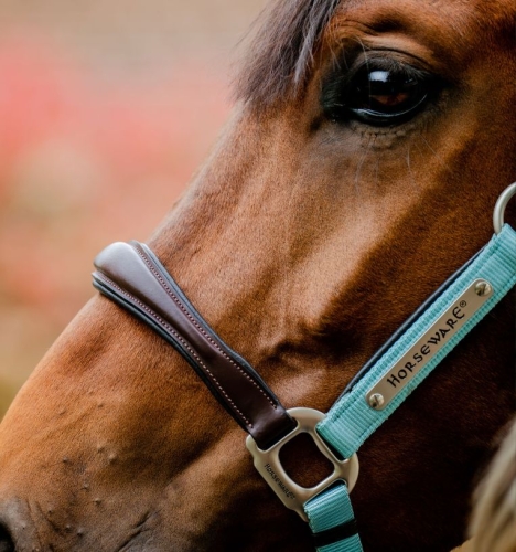 Kantar-skorzany-HORSEWARE-Signature-blue-haze-2